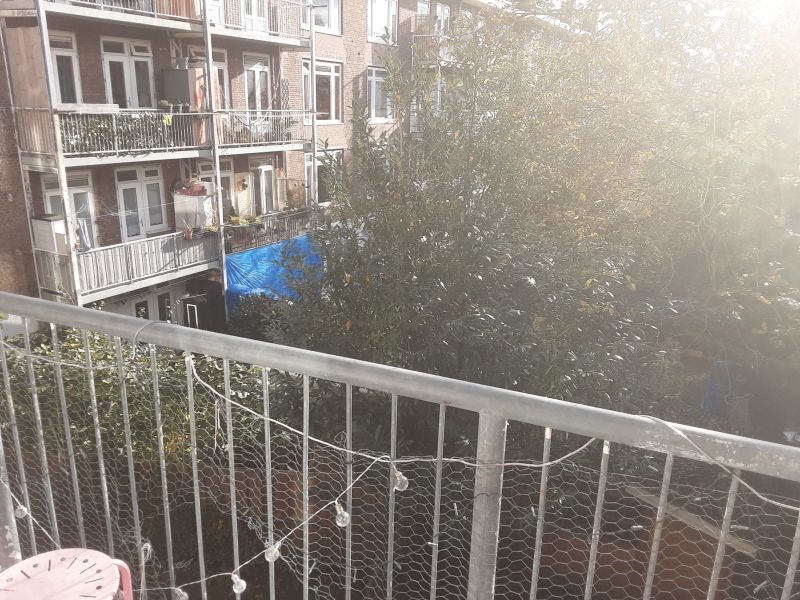 Van Kinsbergenstraat 59