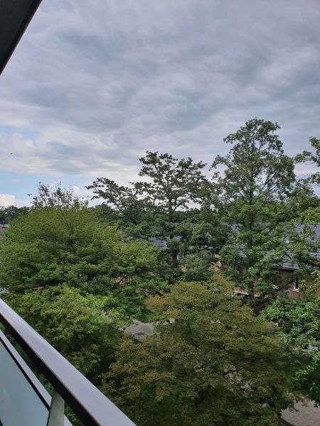 van de Beltstraat 37