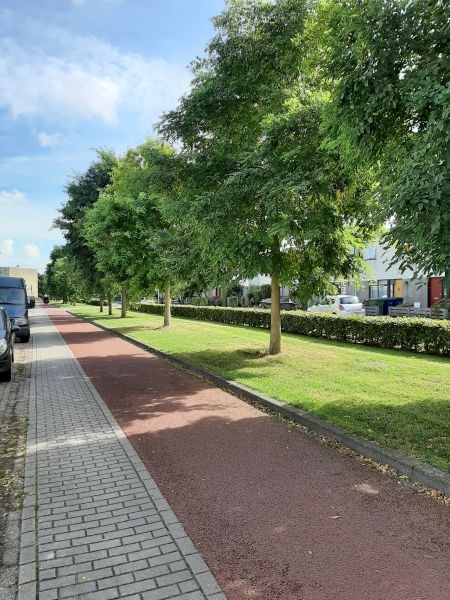 J.T.P. Bijhouwerstraat 46