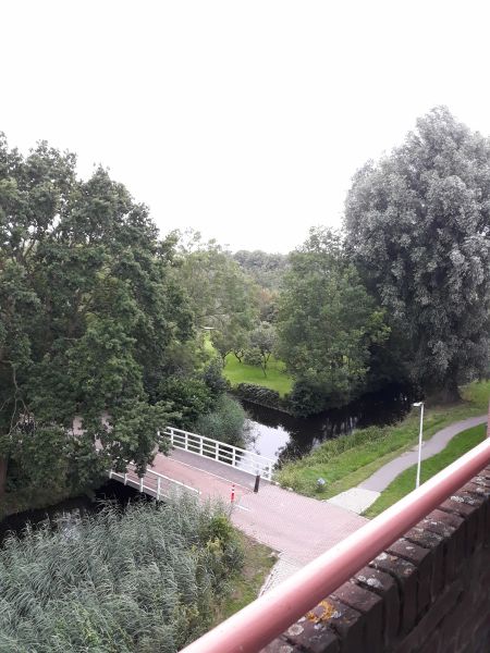 De Savornin Lohmanweg 54D