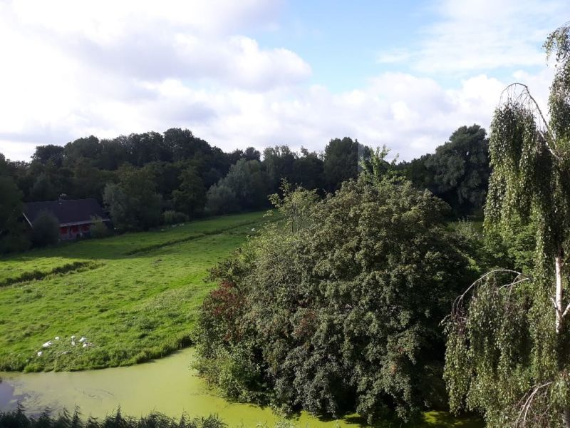 De Savornin Lohmanweg 54D