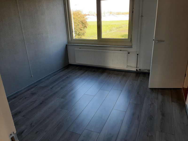 Hoornbladplantsoen 13