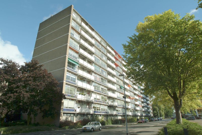 Berkenlaan 12, 9741 JP Groningen, Nederland