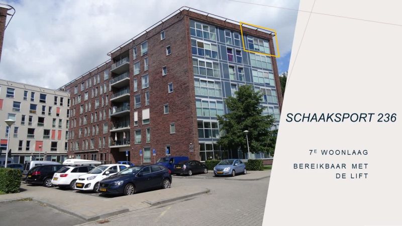 Schaaksport, 9728 JT Groningen, Nederland