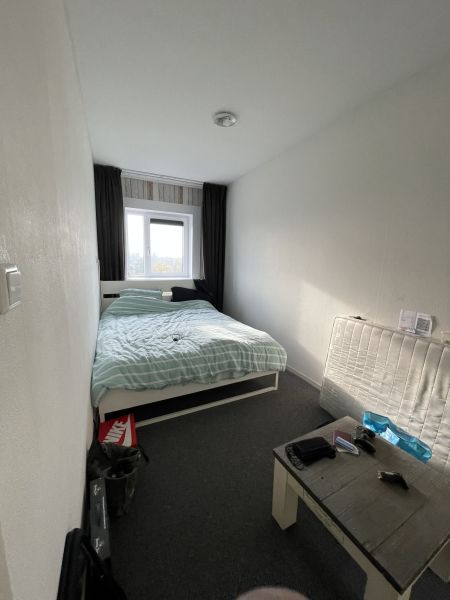 Graan voor Visch 19368