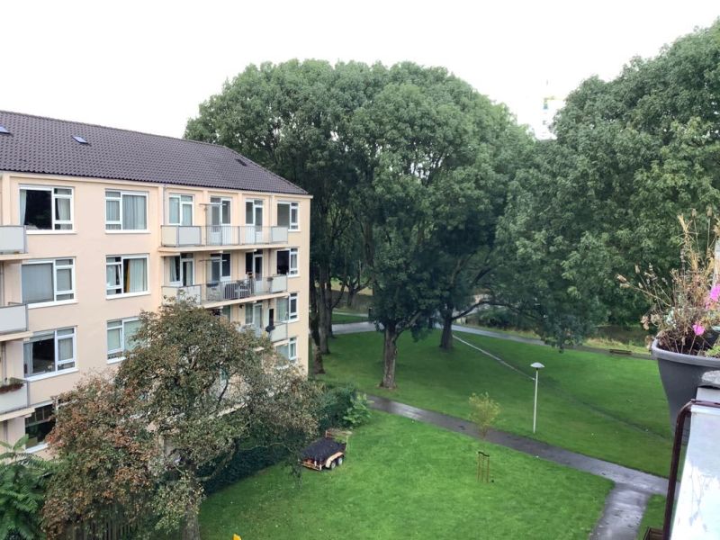 Lodewijk Napoleonplantsoen 42