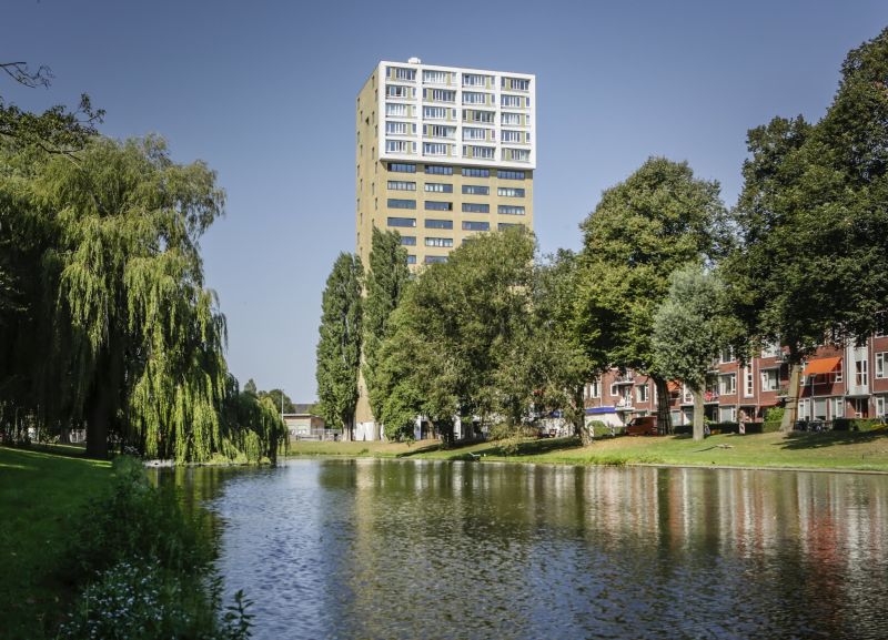 Wielewaalplein, 9713 BR Groningen, Nederland
