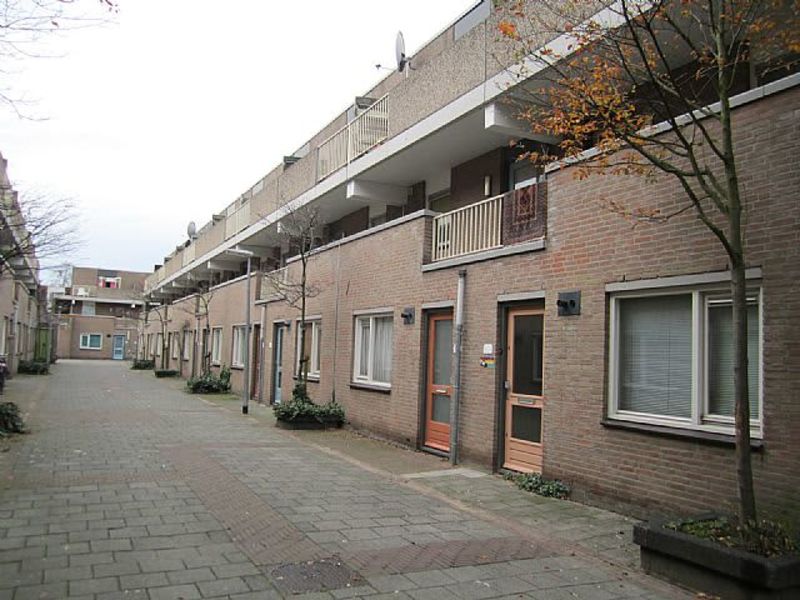 Goudriaanstraat 119