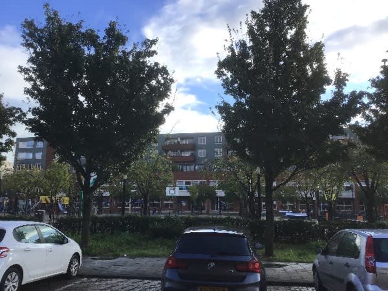 Vasco Da Gamastraat 51