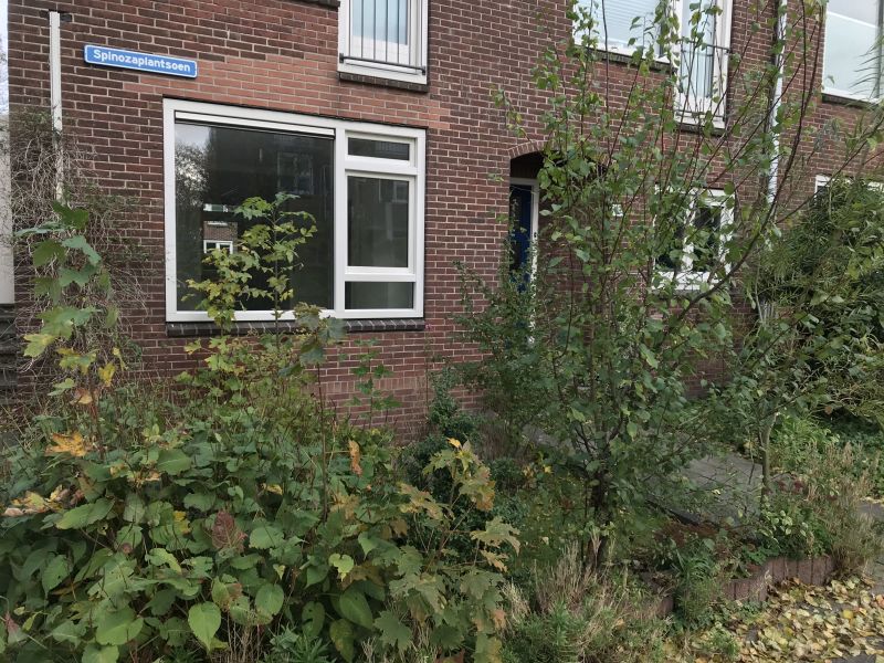 Spinozaplantsoen 15, 3532 SN Utrecht, Nederland