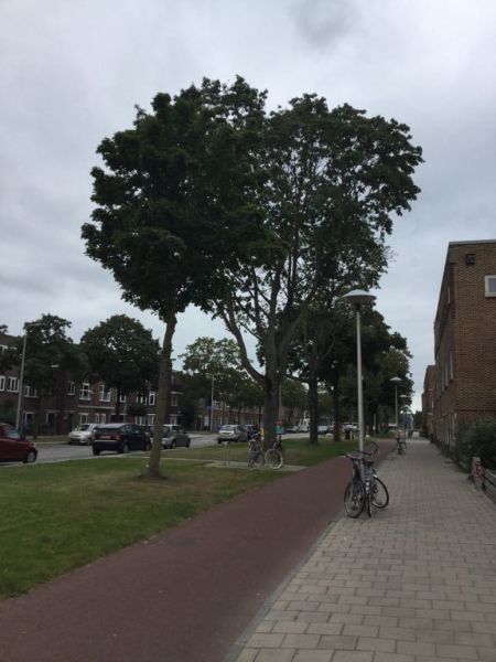 Van Egmondkade 11, 3553 JA Utrecht, Nederland