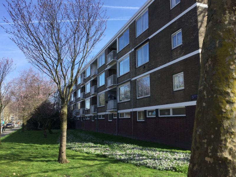 Nedersticht 290, 1083 XG Amsterdam, Nederland