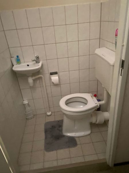 Canadian Grenadier 41