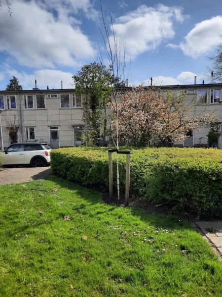 Snelliusstraat 9HS, 1097 KX Amsterdam, Nederland