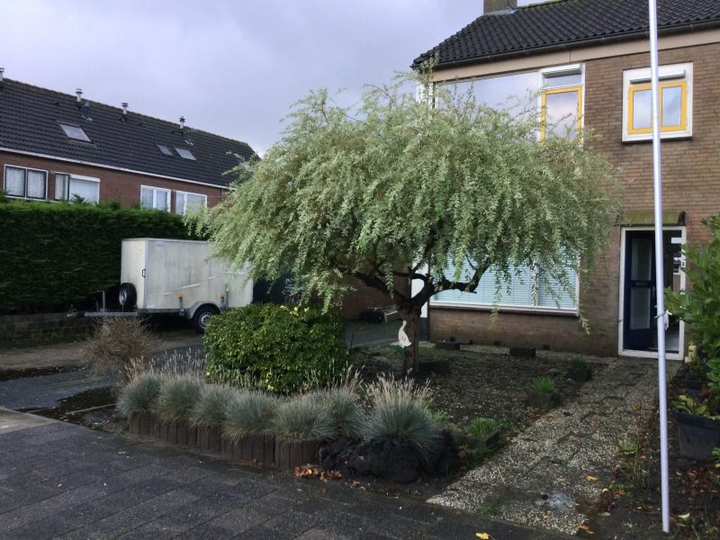 Langerak 52, 2157 PH Abbenes, Nederland