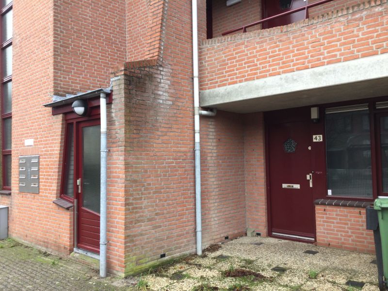 Rosa Spierstraat 43