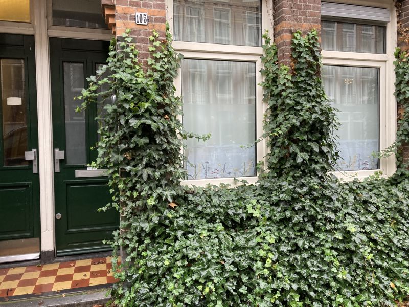 Van der Hoopstraat 105II, 1051 VD Amsterdam, Nederland