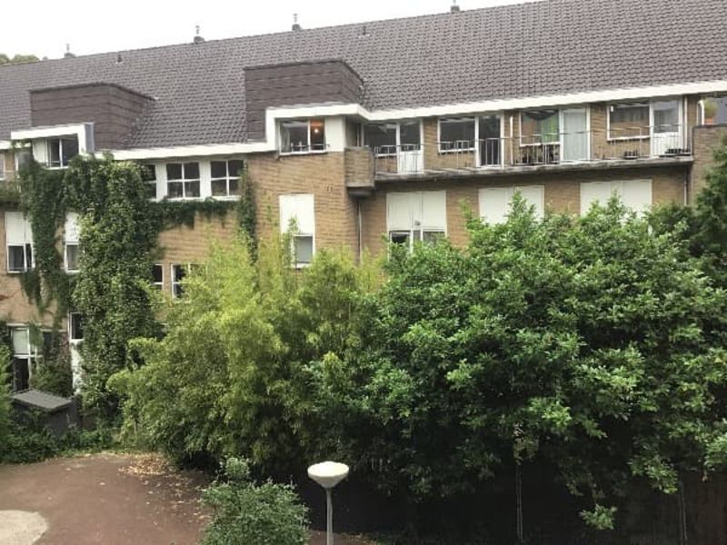 Jeltje de Bosch Kemperpad 112