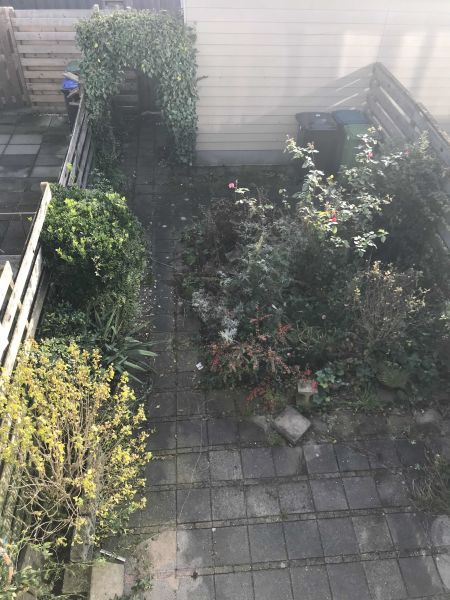 Jan Bijhouwerstraat 48