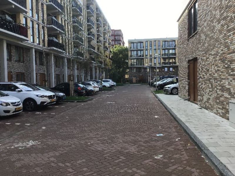 Zilverplevierstraat 31