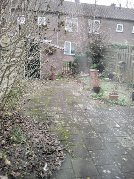 Archimedesplantsoen 137