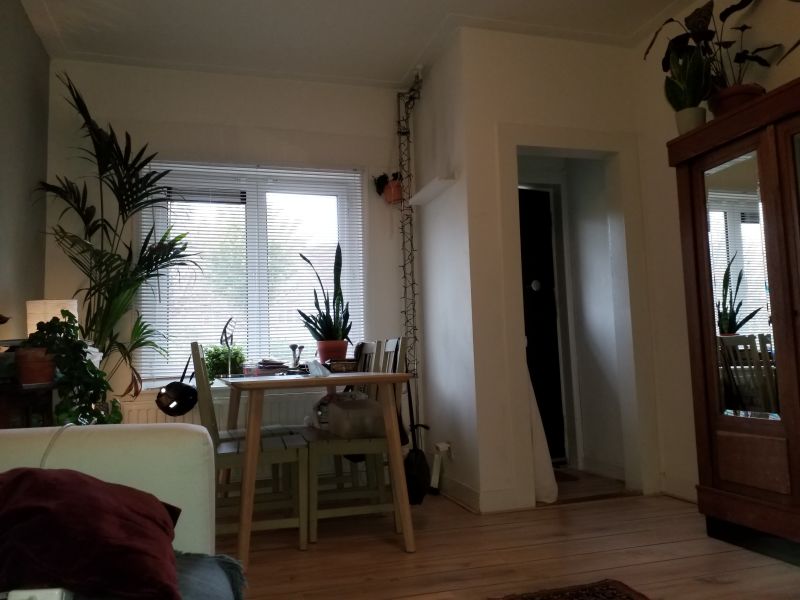 Jac. P. Thijsseplein 50