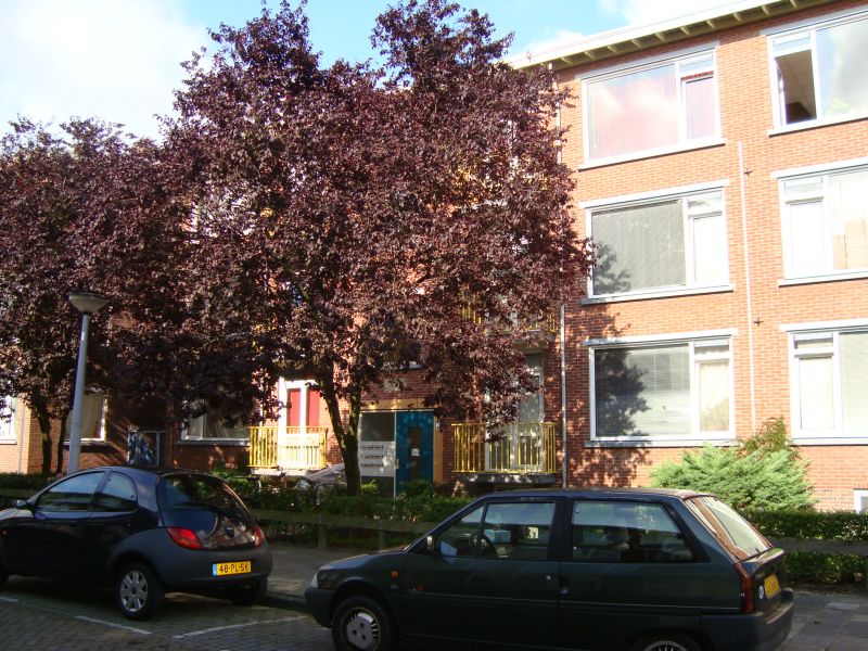 Adriaan Pauwstraat 54, 9716 CV Groningen, Nederland
