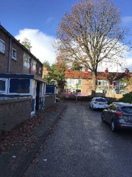 Frank van der Goesstraat 13