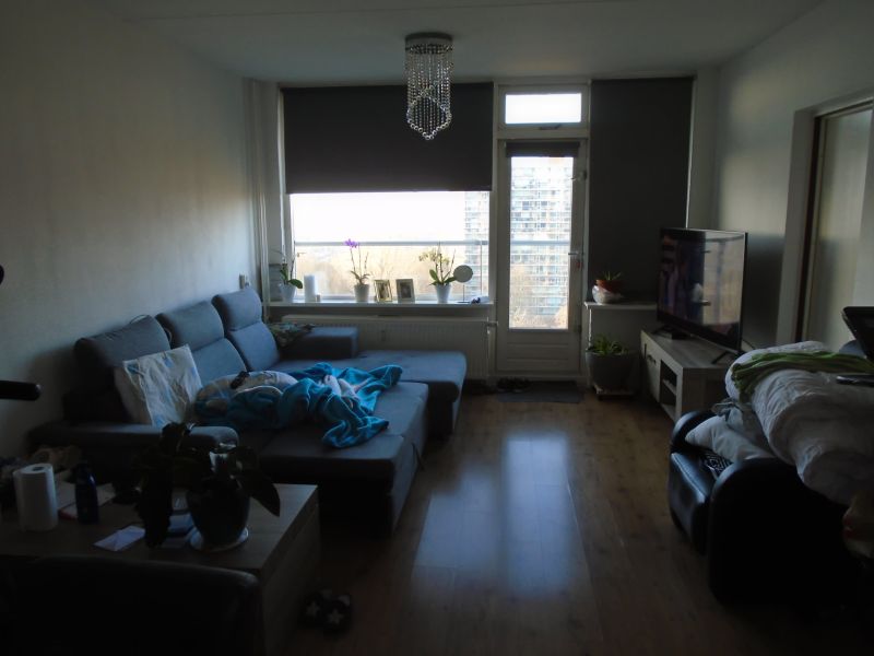 Wenckebachplantsoen 281