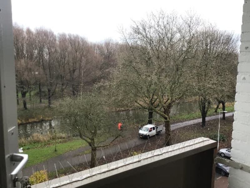 Waalenburgsingel 199