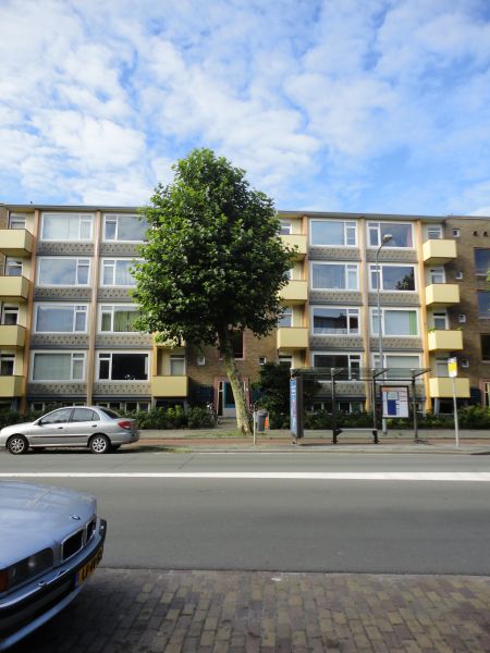 Asingastraat 132, 9716 ES Groningen, Nederland