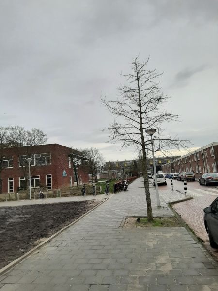 Schuitenhuisstraat 16