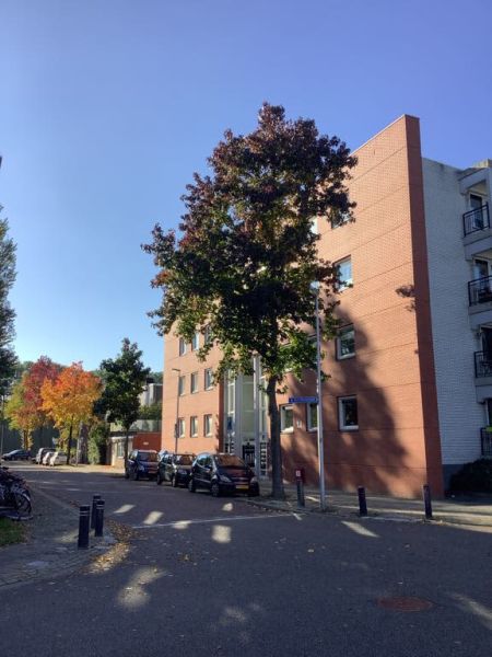 Van Heesstraat 104, 3555 GD Utrecht, Nederland