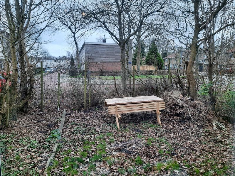 F.C. Dondersstraat 8