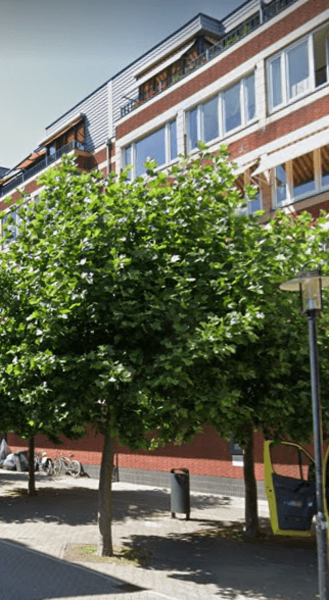 Brahmsstraat 58, 1077 HJ Amsterdam, Nederland