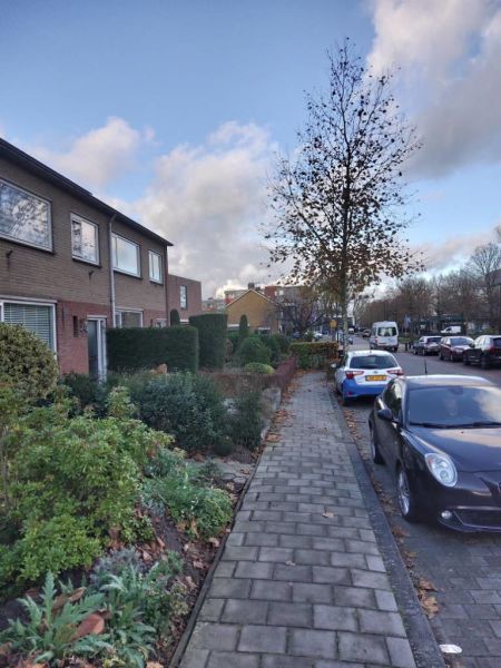 Goeman Borgesiuslaan 7