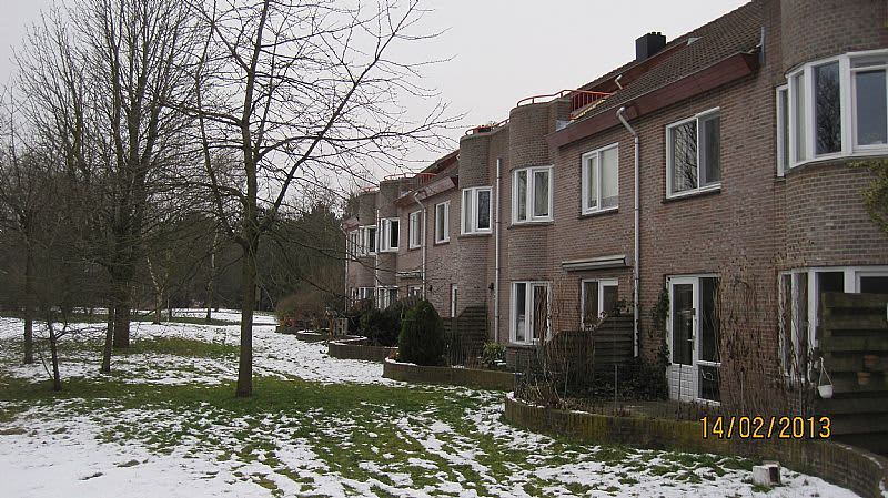 Bloemhof 99