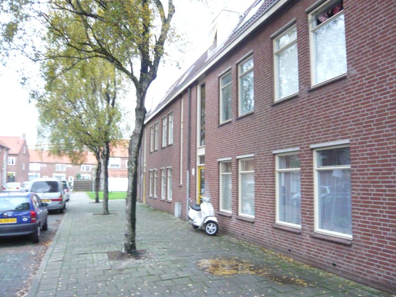 Blauwe Reigerstraat 20