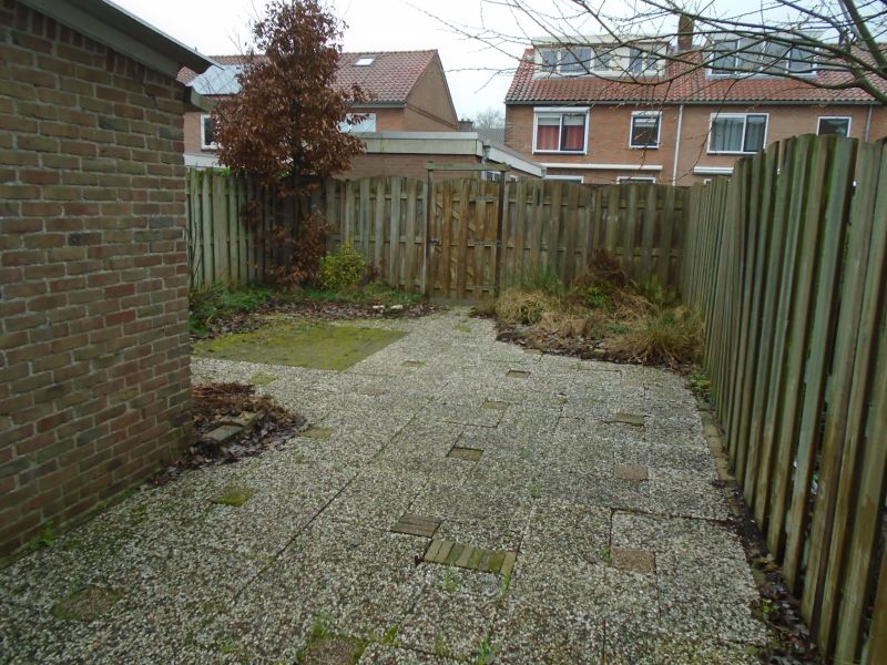 Rijnenborghstraat 28