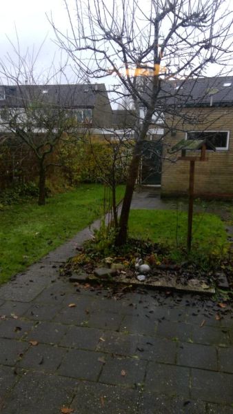 Willem Alexanderplein 20