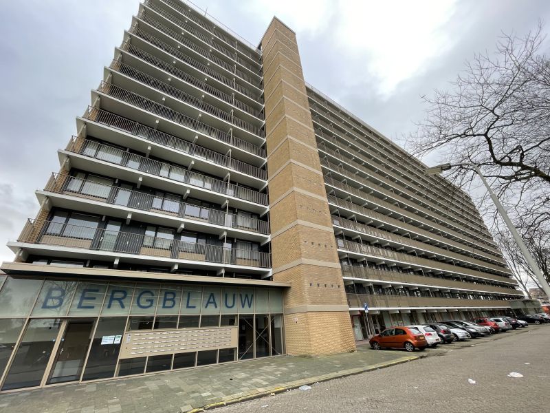 Bergblauwstraat 36, 1503 MD Zaandam, Nederland