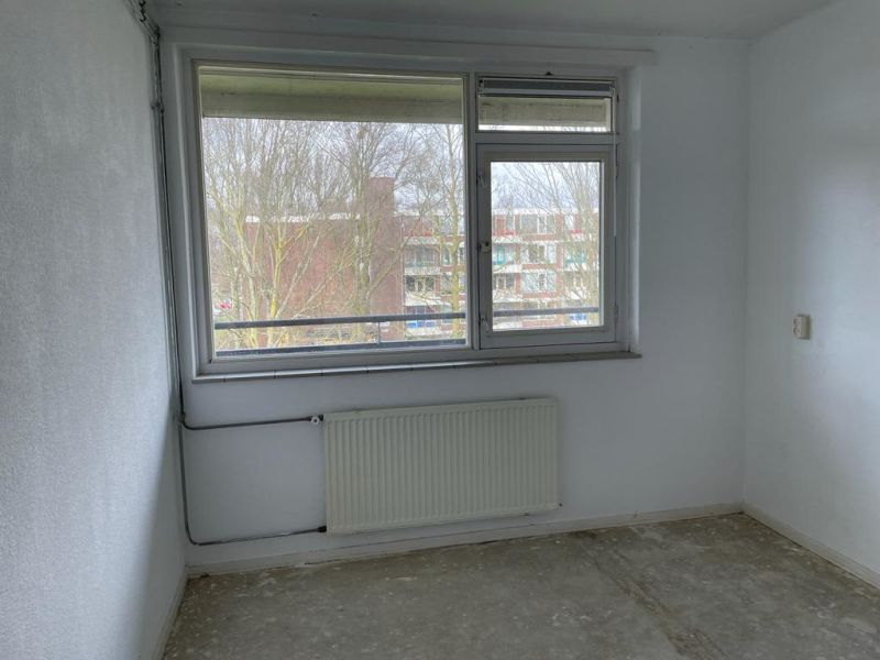 Koekoeksbloemweg 145