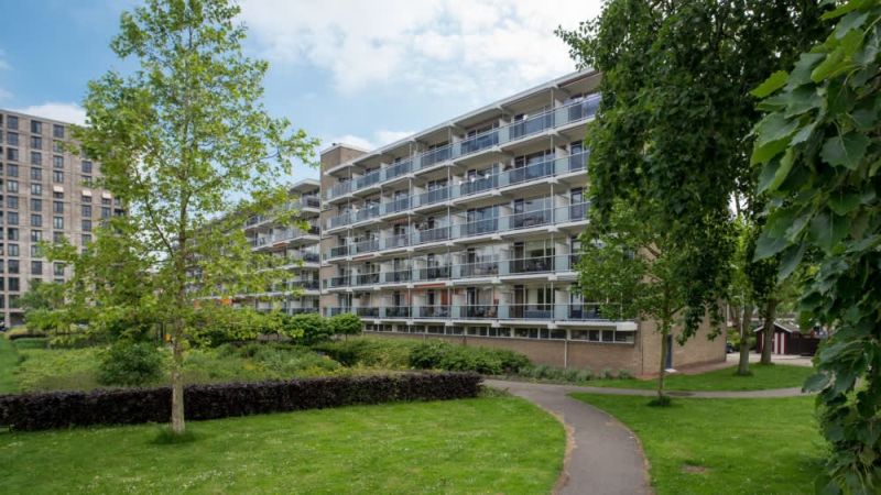 Tuinfluiterstraat 38