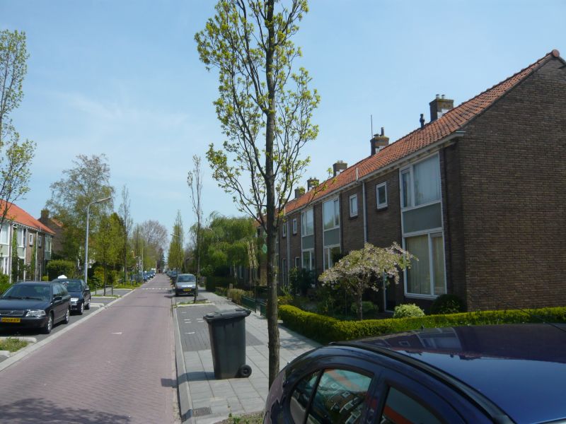Jacobus van Waertstraat 14A
