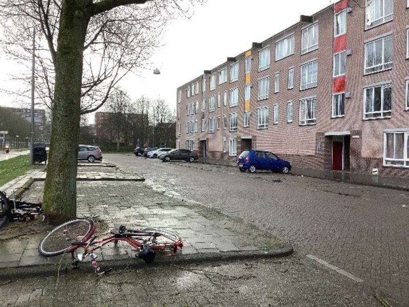 Bernard Shawsingel 344