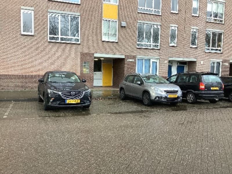 Bernard Shawsingel 344