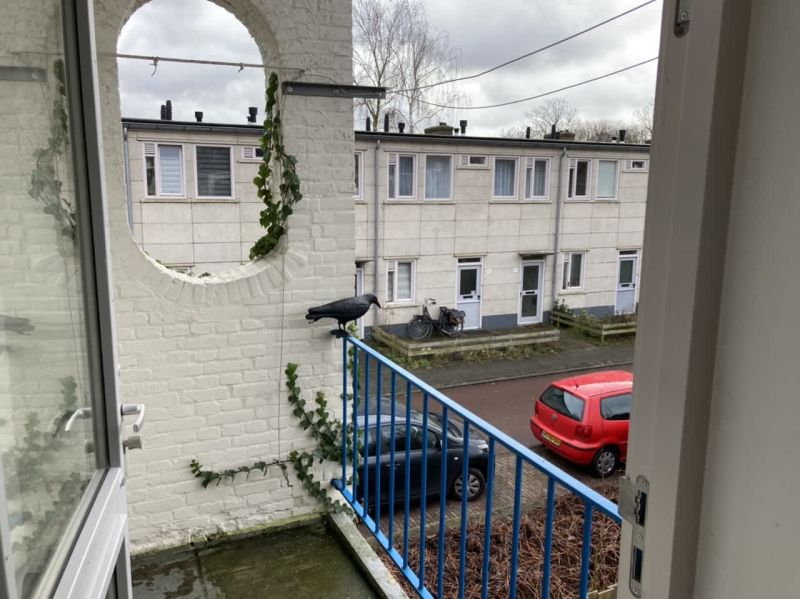 Pieter Zeemanlaan 20