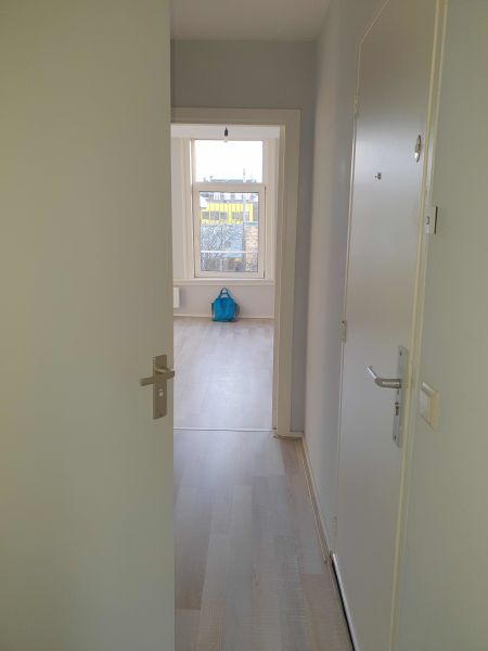 Van Ostadestraat 215