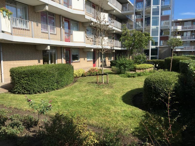 Da Palestrinastraat 161