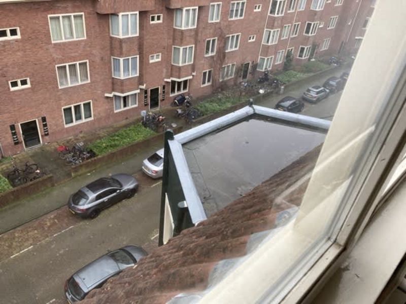 Cornelis Springerstraat 14